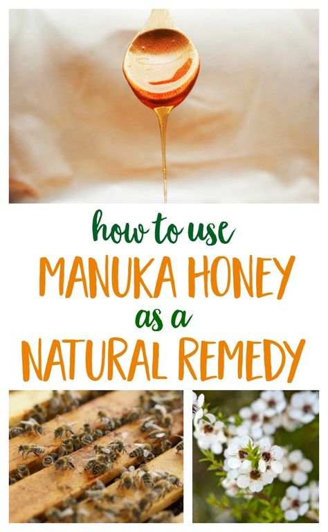 The medicinal benefits of manuka honey make it a smart product to keep in your kitchen cupboard or natural remedies toolkit. Manuka Honey Benefits, Homemade Kombucha, Healing Remedies, Honey Benefits, Coconut Health Benefits, Natural Antibiotics, Benefits Of Coconut Oil, Natural Therapy, Kitchen Cupboard