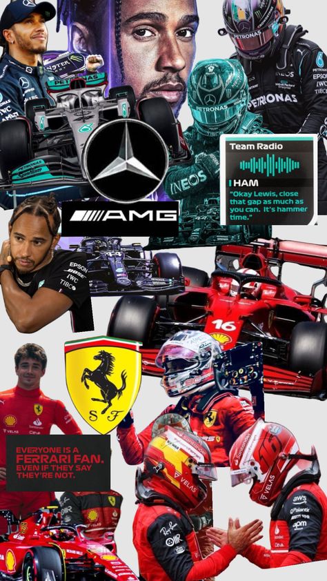 Mercedes And Ferrari F1, F1 Aesthetic, Batman Poster, Ferrari F1, Red Flag, F1 Drivers, Lewis Hamilton, Connect With People, Your Aesthetic