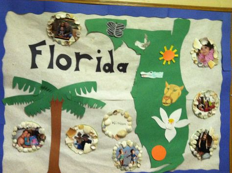 Florida history bulletin board-just a picture-no link for details- State Symbols Project, History Bulletin Boards, 4th Grade Activities, Baby Siting, Florida History, 4th Grade Social Studies, Florida Map, Map Projects, State Symbols