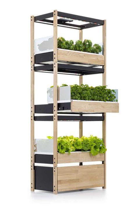 Indoor Hydroponic Gardening, Instead Of Coffee, Indoor Hydroponics, Indoor Farming, Hydroponic Farming, Nespresso Coffee, Aquaponic Gardening, Vertical Farming, Condo Interior