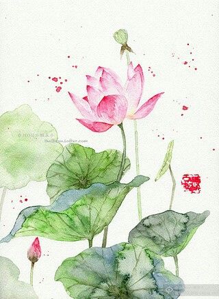 Img Lotus Flower Drawing, Lotus Drawing, Watercolor Lotus, Lotus Flower Art, Lotus Painting, Lotus Art, Pink Lotus, 수채화 그림, Lotus Flowers