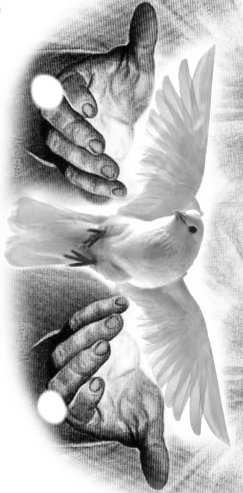 Angel Dove Tattoo, Doves Tattoo Design, Peace Dove Tattoos, In Memory Tattoos, Tattoo Peito, Dove Drawing, Halo Tattoo, Dove Tattoo Design, Praying Hands Tattoo