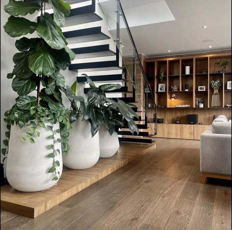 Indoor Plants Under Stairs, Plant Under Stairs, Plants Under Staircase, Under Stairs Plants Ideas, Under Stairs Plants, Plants Under Stairs, Staircase Plants, Jardin Zen Interior, Small Garden Under Stairs