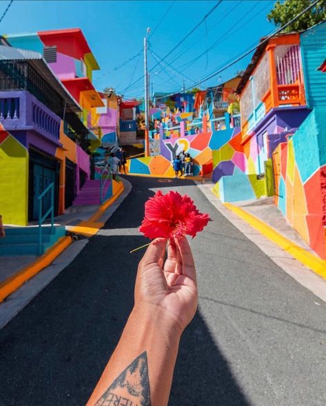 Family Destinations, Favorite Pins, Beautiful Islands, Countries Of The World, Puerto Rico, Pie, 10 Things, Travel, On Instagram