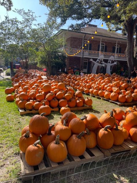 Family Halloween Aesthetic, American Halloween Aesthetic, Pumpkin Patch Aesthetic, Fall Aesthetic Halloween, American Halloween, Patch Aesthetic, Usa Aesthetic, Autumn Princess, Autumn Fall Aesthetic