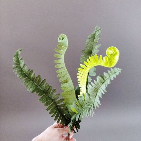 Paper Fern Diy, Paper Fern, Paper Foliage, Paper Mache Flowers, Greenery Birthday, Retirement Congratulations, Paper Succulents, Flowers In The Attic, Diy Flower Crown