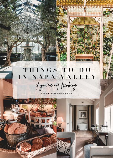 Things to do in Napa Valley if you’re not drinking | Seventy Five Miles - A San Francisco Based Travel Blog By Irene #napavalley #napaidea #california #weekendguide #weekenditinerary #napavalleyitinerary Napa Things To Do, Napa Valley Things To Do, Things To Do In Napa Valley, Napa In December, Napa Valley Day Trip, Napa Itinerary, Napa Valley Trip Itinerary, 40th Birthday Trip Ideas, San Francisco And Napa Valley Trip