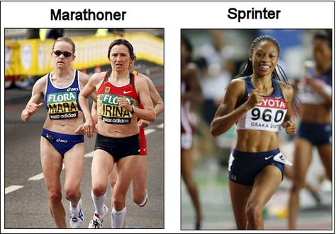 RUNNING FOR FAST LOSS: LONG VS SHORT DISTANCE DEBATE Fat Vs Muscle, Hitt Training, Weight Training Women, Steady State Cardio, Long Distance Running, Hiit Training, High Intensity Interval Training, Interval Training, Lose Body Fat