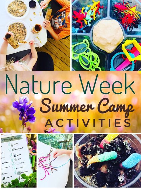 Fun and Easy Nature themed activities to do with kids - great for a DIY Summer Camp! Nature Themed Activities, Diy Summer Camp, Camping Hacks With Kids, Camping Activites For Kids, Preschool Summer Camp, Summer Camp Themes, Dirt Cups, Bird Feeder Craft, Camping Snacks