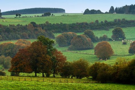 Autumn in the Belgium countryside. Belgium Countryside, Shadow Landscape, In Bruges, Belgium Travel, Landscape Concept, French Countryside, Yahoo Search, European Travel, Luxembourg