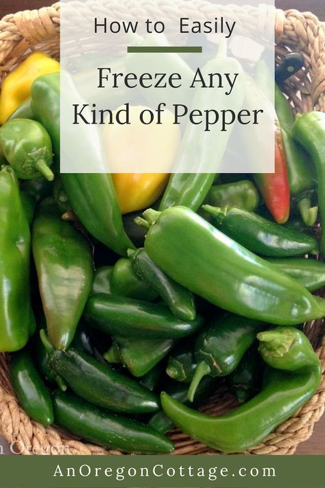 Freezing Peppers How To, Freezing Hot Peppers From Garden, Freezing Sweet Peppers, Can You Freeze Green Peppers, Freeze Peppers From Garden, How To Freeze Fresh Peppers, How To Preserve Peppers From Garden, How To Freeze Sweet Peppers, Freeze Peppers How To