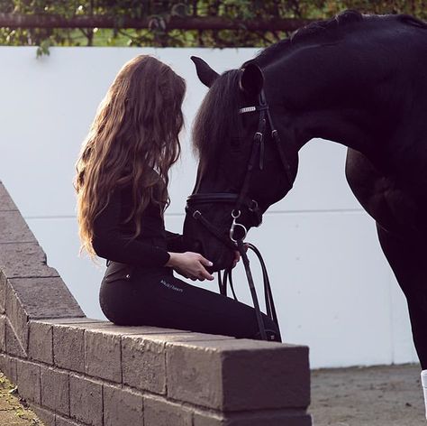 Black Heart Equestrian, Erin Williams, Horsey Life, Horse Riding Aesthetic, Equestrian Aesthetic, Horse Aesthetic, Equestrian Life, Cute Horses, Horse Life