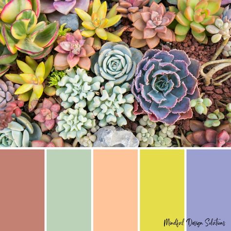 Succulent Colors Palette, Succulent Color Palette, Calming Home, Spa Branding, Purple Palette, Purple Color Palettes, Squarespace Design, Pink Palette, Palette Ideas