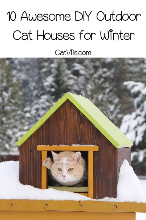 Looking for a DIY outdoor cat house for winter ideas? We've got you! Check out these 10 easy and reliable cat houses you can make in the comfort of your home! Diy Outdoor Winter Cat Shelter, Diy Wooden Cat House Outdoor, Cute Cat Decor Ideas, Small Cat House Outdoor, Diy Cat Outdoor House, How To Build An Outdoor Cat House, Kitty House Diy, Winter Cat House Outdoor Diy, Making A Cat House