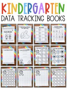 Data Binder Kindergarten, Student Data Binders Kindergarten, Kindergarten Data Tracking, Avid Kindergarten, Kindergarten Aide, Dibels Kindergarten, Kindergarten Data Wall, Data Kindergarten, Kindergarten Binder