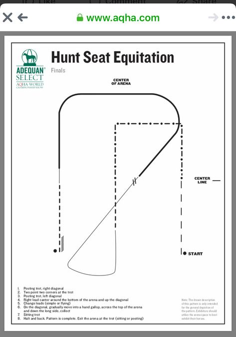 Hunt Seat Equitation Patterns, Equitation Patterns, Hunt Seat Equitation, Hunter Under Saddle, Hunt Seat, Horse Things, Funny Horses, Barn Ideas, Horse Pattern