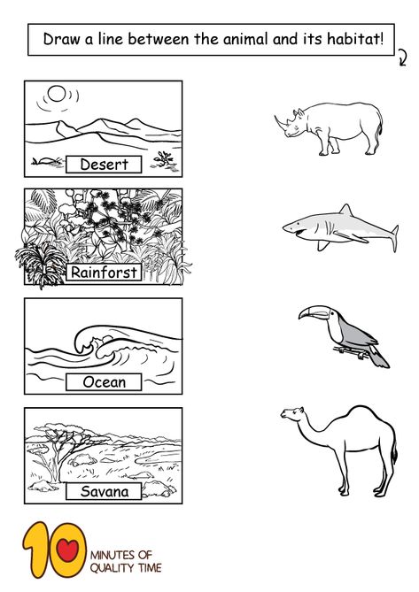 Animal Habitats Worksheets Habitats Preschool, Wetlands Activities, Habitat Worksheet, Animal Habitats Preschool, Third Grade Science Worksheets, Habitat Activities, Animal Activities For Kids, Animal Worksheets, Holistic Education