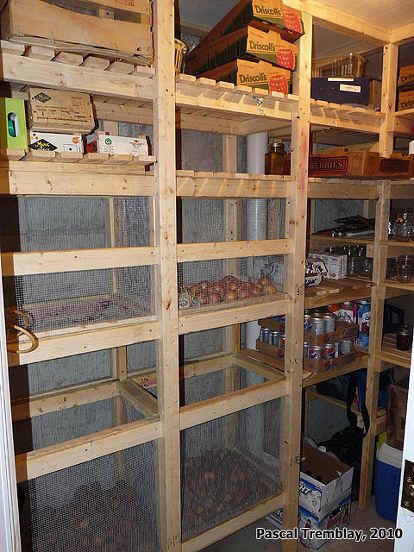 Basement Storage Closet, Diy Vegetable Storage Bin, Root Cellar Storage, Cold Storage Room, Vegetable Storage Bin, Diy Food Storage, Food Storage Rooms, Food Storage Shelves, Wooden Storage Shelves