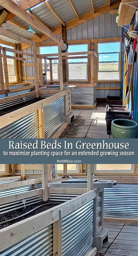 Raised-Beds In Greenhouse Raised Beds Greenhouse, Raised Garden Beds Greenhouse, Raised Garden Beds In Greenhouse, Raised Bed In Greenhouse, Maximize Greenhouse Space, Greenhouse Garden Beds, Greenhouse Grow Lights, Greenhouse Planter Boxes, Greenhouse Layout Floor Plans