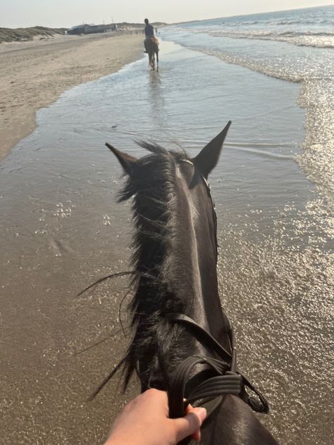 Horse ride beach Horse Riding Beach, Horse Beach Riding, Horse Beach, Beach Rides, Riding School, Equestrian Aesthetic, Dream Future, Rp Ideas, Beach Ideas