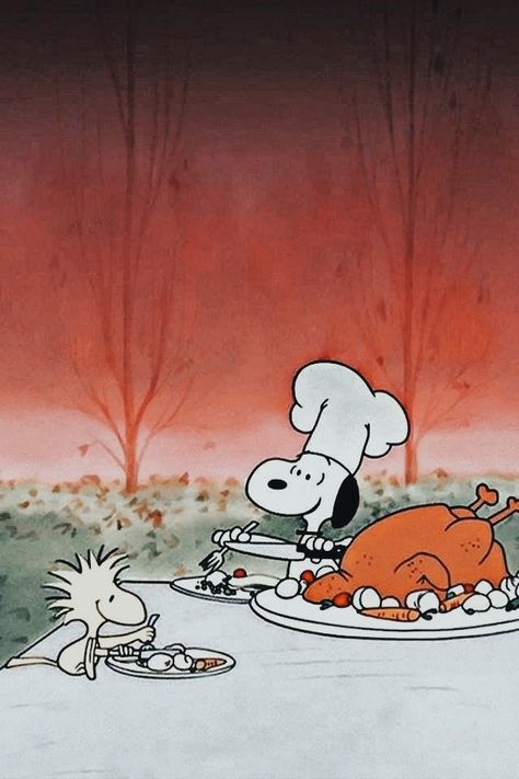 Charlie Brown Thanksgiving Wallpaper Aesthetic, Thanksgiving Wallpaper Turkey, Thanksgiving Charlie Brown Wallpaper, Charlie Brown Thanksgiving Wallpaper Iphone, Peanuts Thanksgiving Wallpaper, Charlie Brown Thanksgiving Wallpaper, Snoopy Thanksgiving Wallpaper, Snoopy Artwork, Thanksgiving Lockscreen