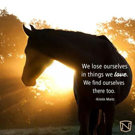 We lose ourselves in things we love. We find ourselves there too. -Kristin Martz Horse Quotes Funny, Horse Images, Inspirational Horse Quotes, Horse Riding Quotes, Equestrian Quotes, Cowboy Quotes, Cowgirl Quotes, Riding Quotes, Horse Therapy