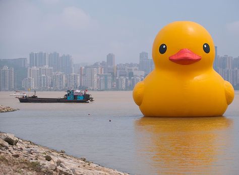 Lucky, the world’s largest rubber ducky is coming to Toronto to celebrate #Canada150 and it comes with a $120,000 price tag for Ontarians. Streaming Ideas, Duck Float, What The Duck, Treading Water, Duck Bird, Rubber Ducks, Canadian History, Giant Inflatable, In The News