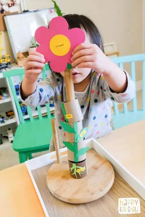 Flowers Kindergarten, Diy Learning Toys, Plants Kindergarten, Flower Puzzles, Plant Activities, Flower Toy, Plant Crafts, Spring Preschool, Parts Of A Flower