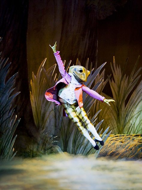 The Tale of Jeremy Fisher, 'Tales of Beatrix Potter', The Royal Ballet by Johan Persson #stage #ballet #royalballet #talesofbeatrixpotter Tales Of Beatrix Potter, Jeremy Fisher, Beatrice Potter, Frog Costume, Ballet Boys, Alice In Wonderland Costume, Wonderland Costumes, American Ballet Theatre, Royal Ballet