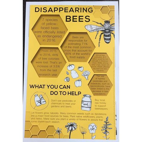 Bee Infographic Design, Honey Bee Infographic, Bees Infographic, Bee Infographic, Infographic Art Design, Honey Bee Facts, Bee Poster, Honey Logo, Scientific Poster