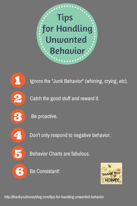 Tips for Handling Unwanted Behavior — Thank You Honey Organizing Makeup, Behavior Tips, Landscape Diy, Behavior Interventions, Point Of No Return, Children Crafts, Decorations Flowers, Challenging Behaviors, Most Pinned