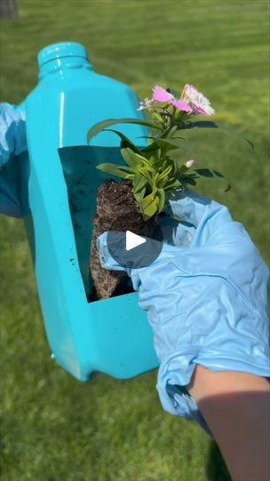 turn an empty milk jug into a beautiful planter #gardening #hacks | Brooklyn B | Brooklyn B · Original audio Gardening Hacks, Milk Jugs, Milk Jug, May 17, Brooklyn, Recycling, Milk, Audio, Turn Ons