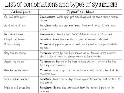 SSSTeaching: Symbiosis Showdown Teach Like A Champion, Language Acquisition, Receptive Language, Human Development, Speaking Skills, Parent Resources, Language Development, Speech Language Pathology, Speech Language Therapy