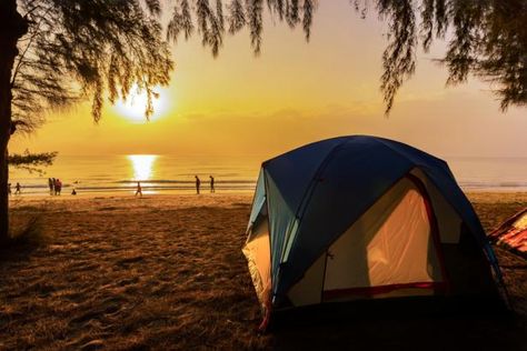 Rv Parks In Florida, Hiking In Florida, Hammock Beach, Bahia Honda State Park, Best Rv Parks, Bear Island, State Park Camping, Camper Boat, Cumberland Island