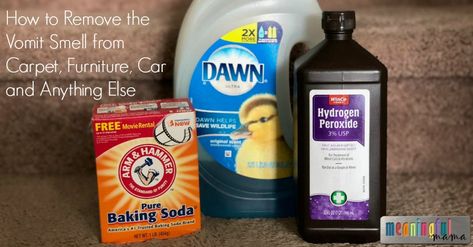 I have the perfect recipes for how to clean the vomit smell from carpet, furniture, car and anything else... including stuffed animals. Clean Hacks, Homemade Toilet Cleaner, Glass Cooktop, Deep Cleaning Tips, Pet Stains, Odor Remover, Clean Dishwasher, Simple Life Hacks, Duck Egg