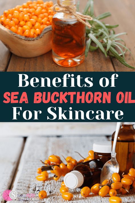 Sea Buckthorn Oil has two types; seed oil and fruit oil. Sea Buckthorn Oil can be used on all skin types. It is a protective oil that can also help slow down the aging process. Sea Buckthorn Oil can also repair damaged skin, it is regenerative as well. Sea Buckthorn Oil can be used alone as a serum or it can be used in your own DIY skincare recipes. This oil contains all four types of fatty acids and is highly nutritive to skin. Seabuckthorn Oil Benefits Skin, Seabuckthorn Oil, Seabuckthorn Oil Benefits, Sea Buckthorn Benefits, Homemade Body Care, Sea Buckthorn Oil, Vegan Lip Balm, Diy Skin Care Recipes, Oil Skin Care