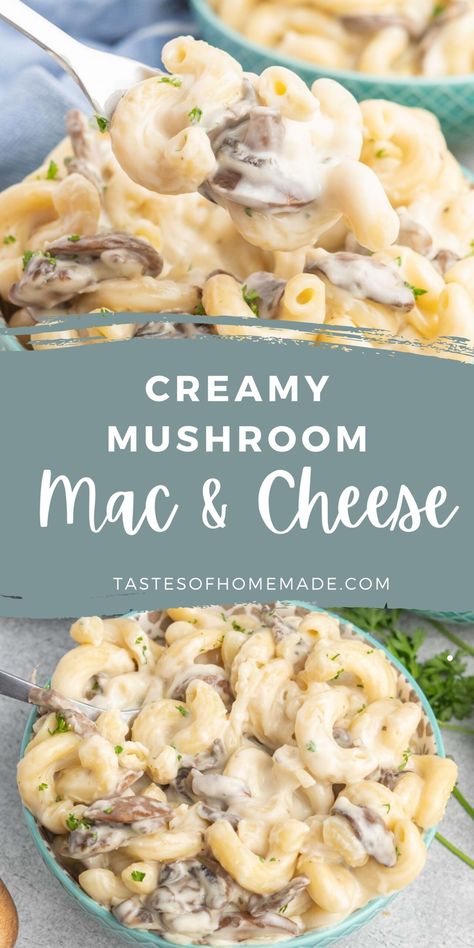 Extra creamy and cheesy with earthy mushrooms, this creamy mushroom mac and cheese is made with a combination of cheese, including sharp white cheddar, for a delicious and easy dinner that is ready in 30 minutes. Serve it as is, or toss it in the oven with some buttery breadcrumbs for extra crunch and texture. Makes a large batch, perfect for feeding the family or for leftovers Mac And Cheese With Cream Of Mushroom Soup, Mac And Cheese With Mushroom Soup, Cream Of Mushroom Mac And Cheese, Mac And Cheese With Mushrooms, Cream Of Mushroom Soup Recipes Pasta, Mac And Cheese With Cream Of Mushroom, Pasta With Cream Of Mushroom, Cream Of Mushroom Recipes, Mushroom Mac And Cheese