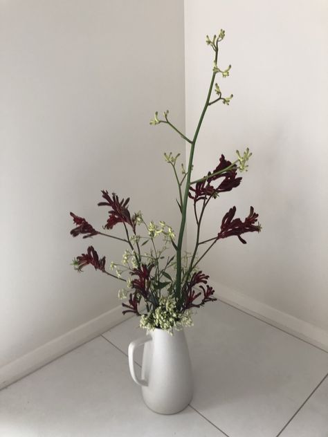 Kangaroo paw in a fresh flower arrangement. Kangaroo Paw Flower Arrangement, Kangaroo Paw Flower, Fresh Flower Arrangement, Kangaroo Paw, Fresh Flowers Arrangements, Wedding Aesthetic, Fresh Cut Flowers, Fresh Flower, Reception Decor