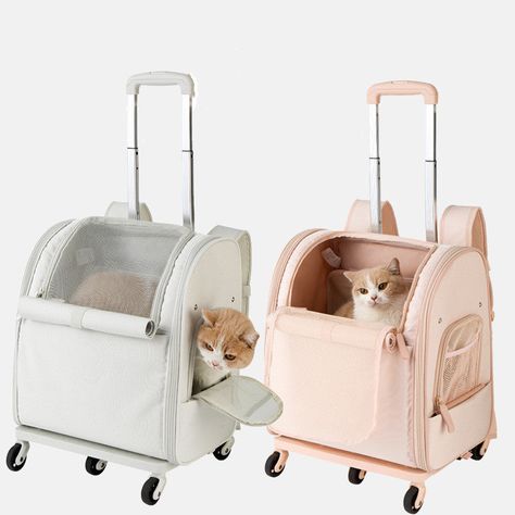 Cat Carrier Bag, Pet Bag, Trolley Bags, Zhejiang China, Cat Carrier, Cat Pet Supplies, Outdoor Dog, Carrier Bag, Pet Carriers