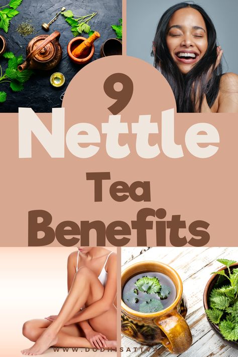 Discover 9 in depth nettle tea benefits in this post as well as medicinal and yummy recipes utilizing fresh and dried nettles. Learn ways to use nettles as tea infusions, tinctures, topically for hair growth, skin issues like eczema. We cover how studies show promising results for using nettle tea for prostate issues, arthritis and pregnancy and fertility challenges. Nettle Tea Benefits Fertility, Nettle Tea Benefits Women, Nettle Tincture Benefits, Stinging Nettle Tincture, Tincture Benefits, Nettle Tea Benefits, Benefits Of Nettle, Nettle Benefits, Nettle Tincture