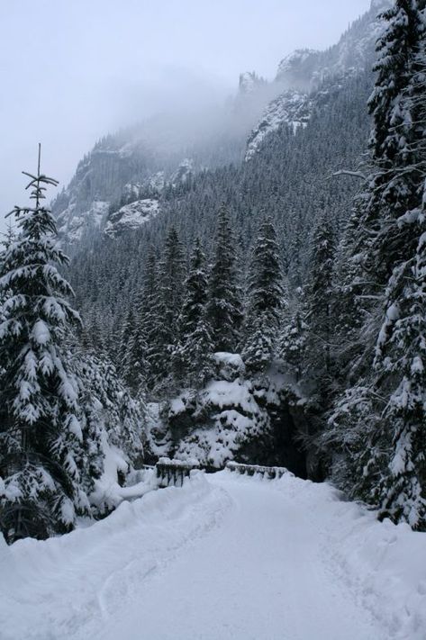 Zakopane Poland Winter, Zakopane Winter, Zakopane Poland, Skiing Aesthetic, Mountain Trip, Winter Resort, Tatra Mountains, Christmas Vibe, I Love Snow