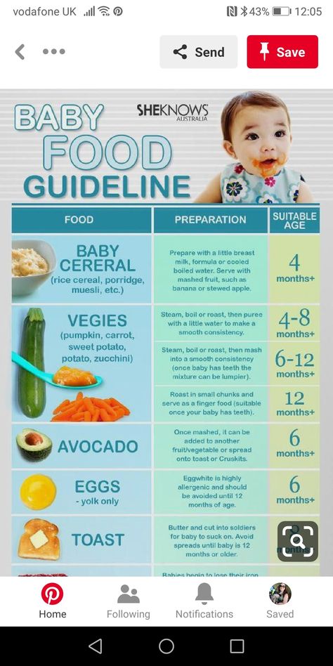 Baby Food Timeline, 4 Month Baby Food, Baby Charts, Nursing Foods, Baby Weaning Foods, Food Schedule, Food For Breastfeeding Moms, Baby Food Guide, Baby Solids