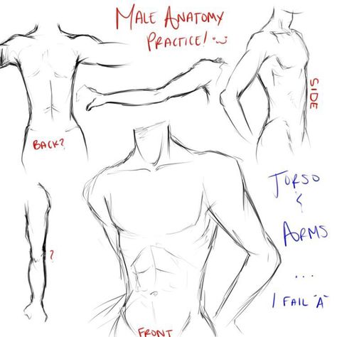 Anime Guy Drawing, Male Anatomy, Manga Tutorial, Drawing Hands, Anime Guy, Anatomy Drawing, Body Drawing, Guy Drawing, Anatomy Reference