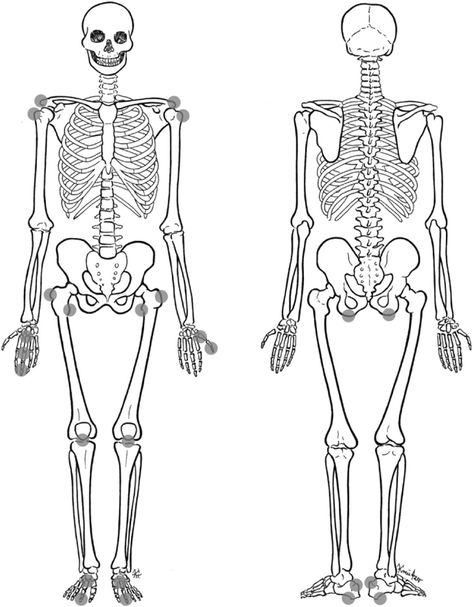 by laiba nadeem Skeletal System Printable, Human Skeleton Diagram, Skeleton Diagram, Skeleton Template, Skeleton System, Anatomy Organs, Human Skeleton Anatomy, Skeleton Anatomy, Human Body Unit