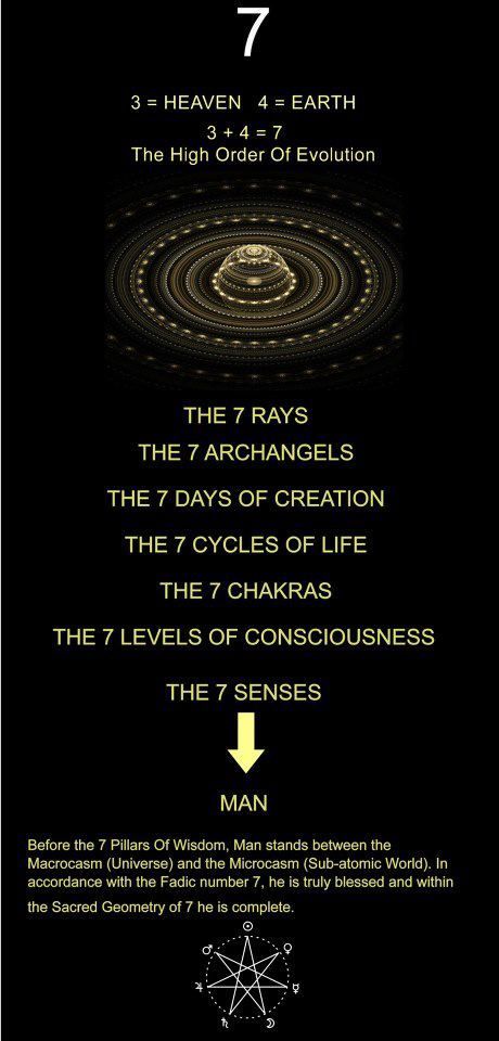 7 Days Of Creation, The Seven Chakras, Days Of Creation, Online Psychic, Levels Of Consciousness, Spirit Science, Seven Chakras, E Mc2, Quantum Physics