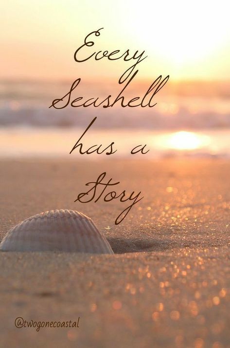 Sea Side Pictures, Beach Love Quotes, Venice Beach Florida, Summer Beach Quotes, Beach Captions, Create Your Story, Ocean Quotes, Sea Side, Travel Quotes Inspirational