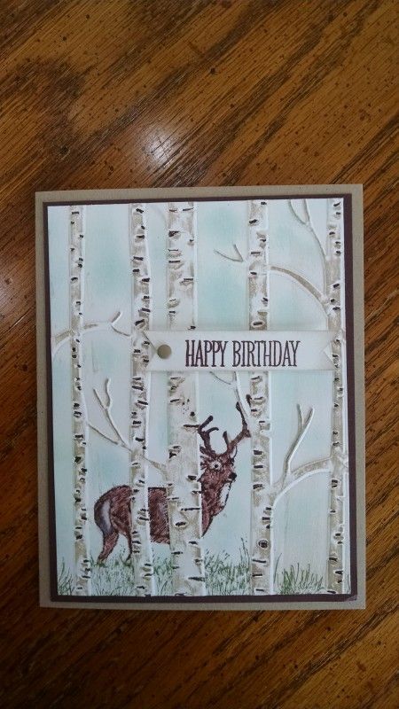 Masculine Birthday Cards, Nature Card, Bday Cards, Boy Cards, Homemade Christmas Cards, Birthday Cards For Men, Birch Trees, Tree Cards, Embossed Cards