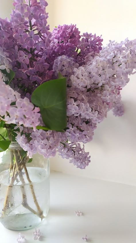 Cottage Core Flowers, Lilac Aesthetic, Lilac Cottage, Lilac Bouquet, I Can Buy Myself Flowers, Buy Myself Flowers, Flower Vase Arrangements, Nothing But Flowers, Wedding Flower Decorations