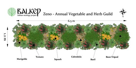 Ecology Projects, Food Forest Garden, Composting Toilets, Asian Garden, Permaculture Gardening, Permaculture Design, Market Garden, Food Forest, Forest Garden