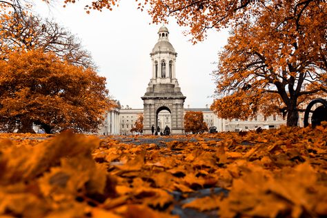 Trinity College Dublin in autumn | © Hernán Piñera/Flickr Dublin In Autumn, Dublin Autumn, Ireland October, Camden Street, Kilmainham Gaol, Irish Houses, Trinity College Dublin, Teaching College, Victorian Buildings